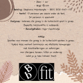 workshop 3